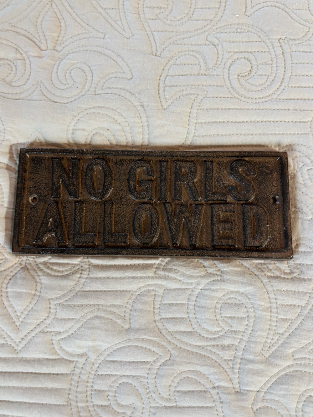 Hobby Lobby Brown Cast Iron "No Girls Allowed" Wall Plaque